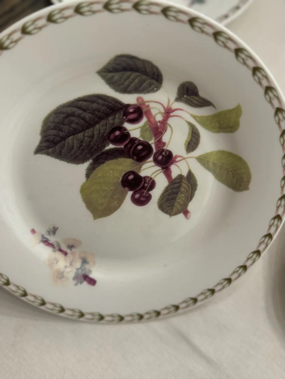 Queens Royal Horticultural Society Hookers Fruit Salad Plates (3) 8-3/8